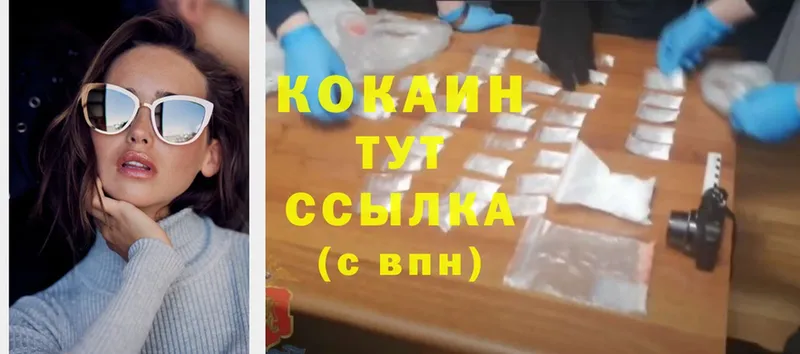 Cocaine FishScale  наркошоп  Новоуральск 